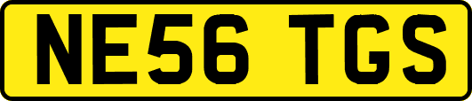 NE56TGS