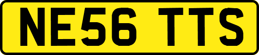 NE56TTS