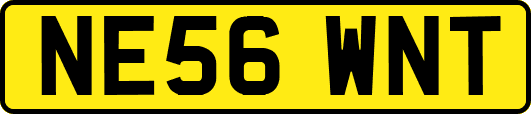 NE56WNT