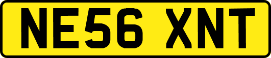NE56XNT