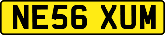 NE56XUM
