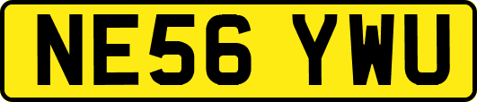 NE56YWU