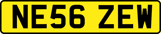 NE56ZEW