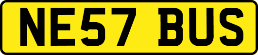 NE57BUS