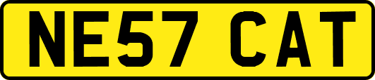 NE57CAT