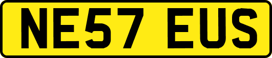 NE57EUS