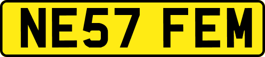 NE57FEM