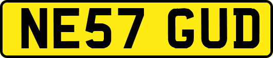 NE57GUD