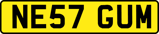 NE57GUM