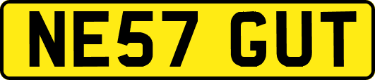 NE57GUT