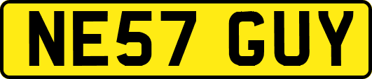 NE57GUY