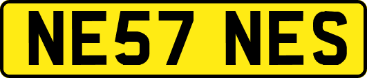 NE57NES