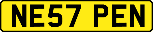 NE57PEN