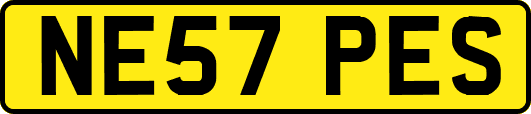 NE57PES