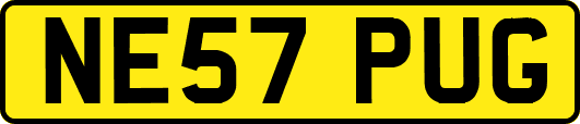 NE57PUG