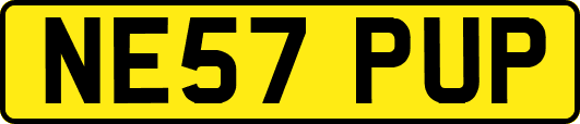 NE57PUP
