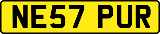 NE57PUR