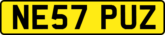 NE57PUZ
