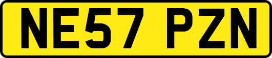 NE57PZN