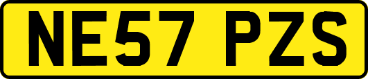 NE57PZS
