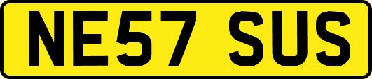 NE57SUS