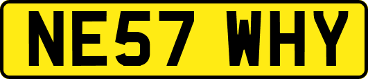 NE57WHY