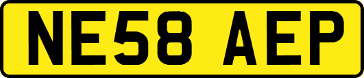 NE58AEP