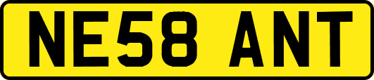NE58ANT