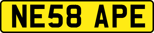 NE58APE