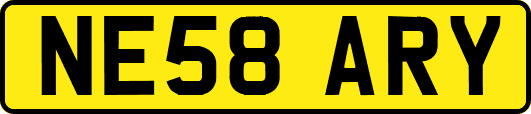 NE58ARY