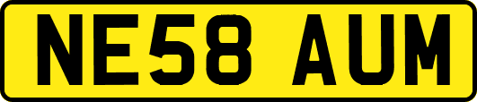 NE58AUM