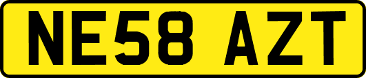NE58AZT