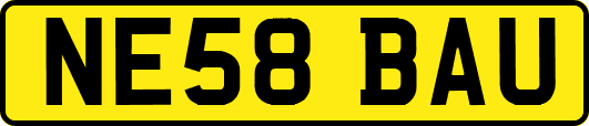NE58BAU