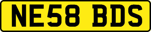 NE58BDS