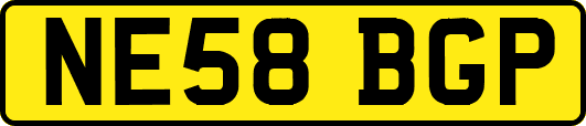 NE58BGP