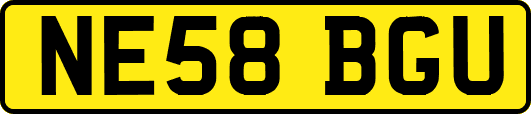 NE58BGU