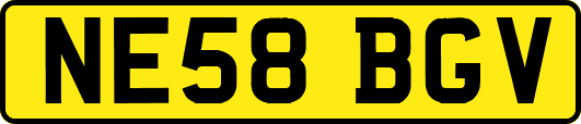 NE58BGV