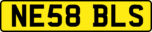 NE58BLS