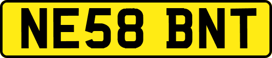 NE58BNT