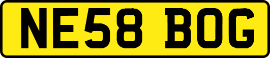 NE58BOG