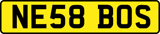 NE58BOS
