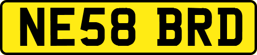 NE58BRD