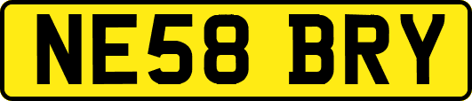 NE58BRY