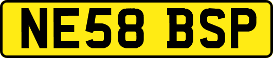 NE58BSP