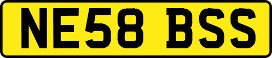 NE58BSS
