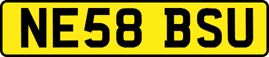 NE58BSU