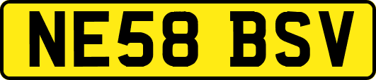 NE58BSV