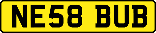 NE58BUB