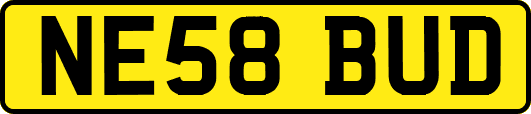 NE58BUD