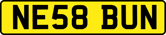 NE58BUN